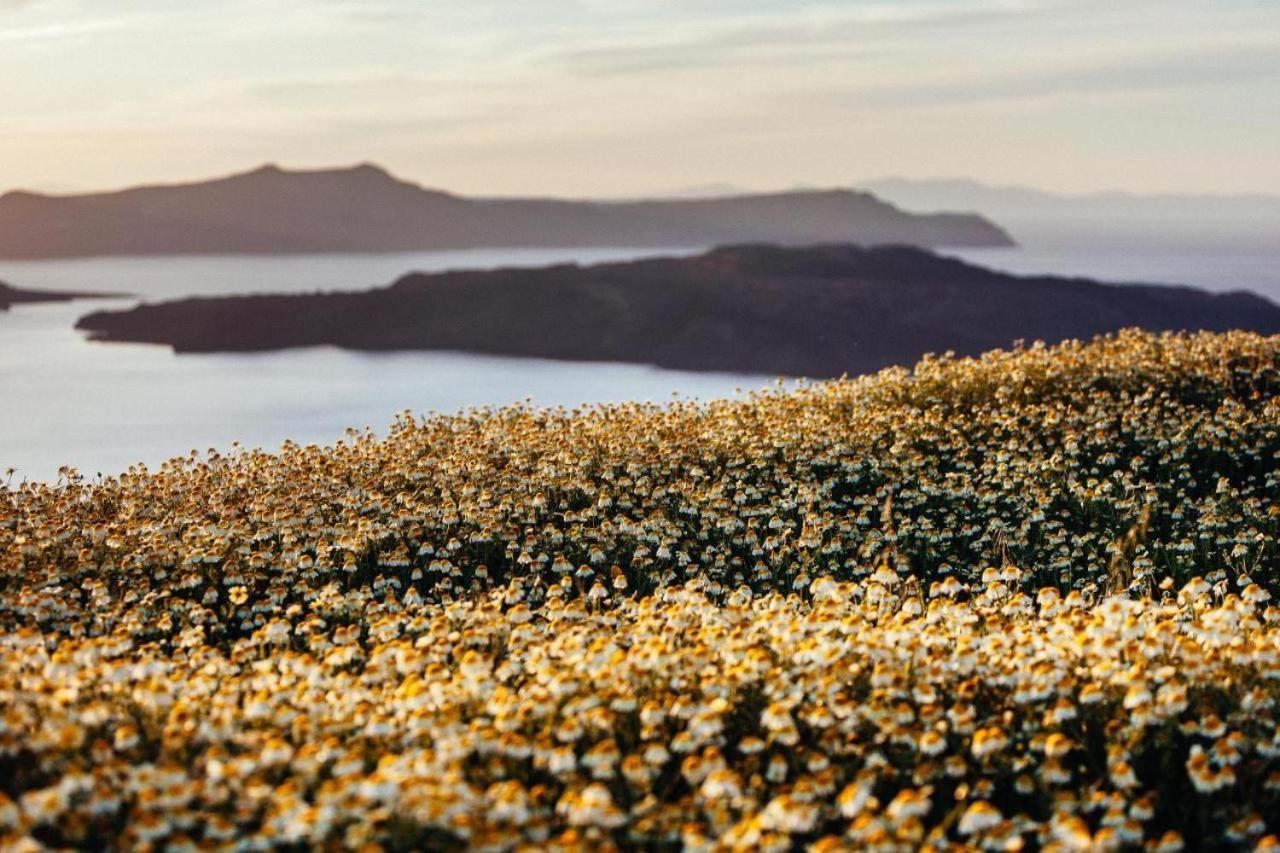 Arcana Santorini Villas, An Authentic Cycladic Experience Akrotírion 외부 사진